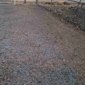 Leaf Removal by Wgm landscaping reviewed on August 19, 2025