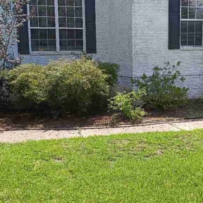Flower Bed Weeding by Pristine Properties LHS reviewed on September 1, 2026