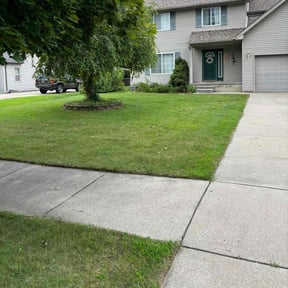 landscaping services by All Around The House reviewed on August 16, 2025