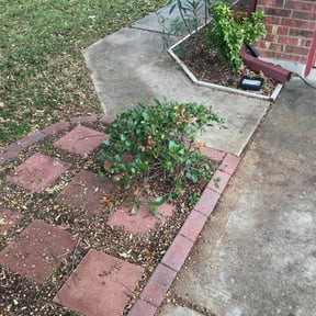 Bush Trimming by Pollard Landscaping reviewed on August 15, 2025
