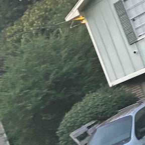 Bush Trimming by Crutchfield’s lawn care reviewed on August 21, 2025