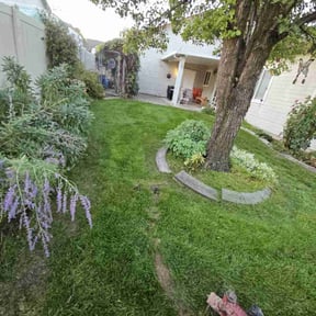 turf care by Groovy Treasures Lawncare reviewed on July 1, 2025