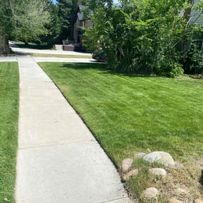 yard maintenance by Catalina Herman reviewed on August 19, 2025