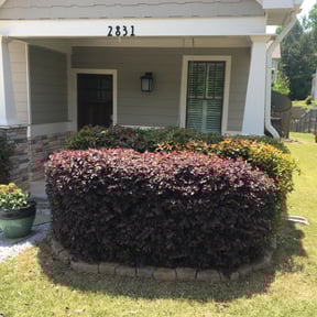 Bush Trimming by GG landscape reviewed on August 19, 2025