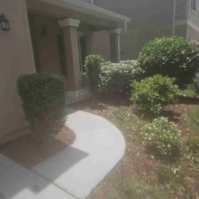 Bush Trimming by RainCityLandscapes reviewed on August 16, 2025