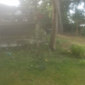 Bush Trimming by Perry’s Landscaping LLC reviewed on August 17, 2025