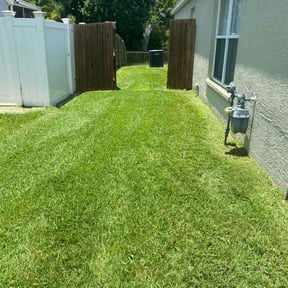 yard service by Dew Right Lawn Care LLC reviewed on August 17, 2025