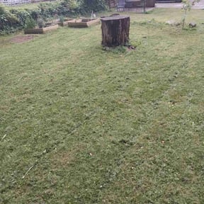 Leaf Removal by Fraire Lawn Care reviewed on October 2, 2025