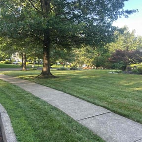 yard service by Manuel's O lawn service reviewed on August 15, 2025