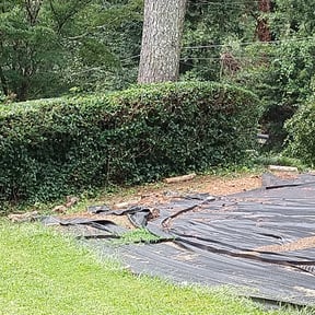 Bush Trimming by Gilmore's Grass cuts and more reviewed on August 15, 2025