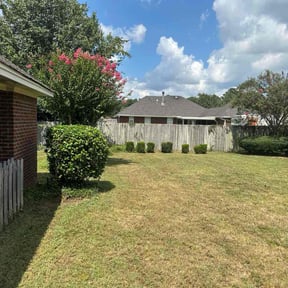 Bush Trimming by Rolando Herrera reviewed on November 22, 2025