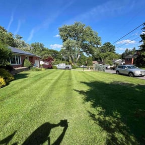 yard care by BlueStar Landscaping LLC reviewed on November 24, 2025