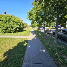landscaping by D&G Lawn Care/Pressure Washing reviewed on August 18, 2025