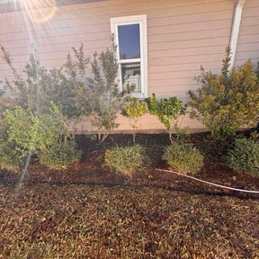 Flower Bed Weeding by Edgar lawn mower service reviewed on November 23, 2025