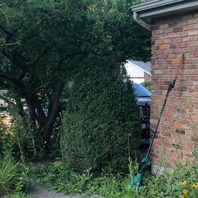 Bush Trimming by Moseley and Son LLC reviewed on October 20, 2025