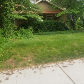 Bush Trimming by NRB Landscape Services reviewed on August 21, 2025