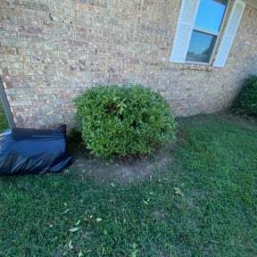 Bush Trimming by Jrb landscaping & snowplowing reviewed on August 19, 2025