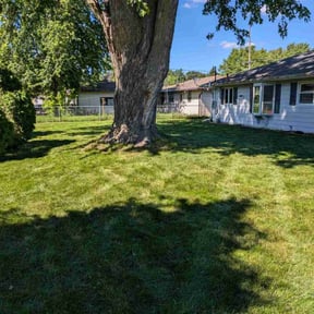 landscaping services by Dunstan Harper reviewed on August 16, 2025