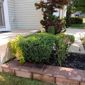 Bush Trimming by A yard to go reviewed on August 15, 2026