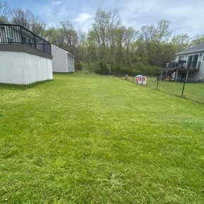 lawn care services by RJ's Lawn Care reviewed on August 15, 2025