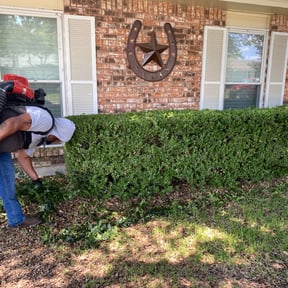 Bush Trimming by Turbo Lawn Care reviewed on August 18, 2025