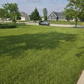 landscaping services by Rcuts Lawncare reviewed on November 23, 2025