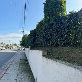 Bush Trimming by Quinn&#039;s lawncare reviewed on April 26, 2024