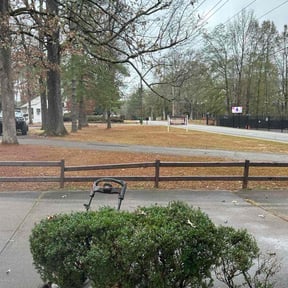 Leaf Removal by NMH Renovations&amp;landscaping LLC reviewed on December 15, 2025