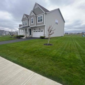 landscaping by Xtra Care Lawn Service reviewed on December 24, 2025