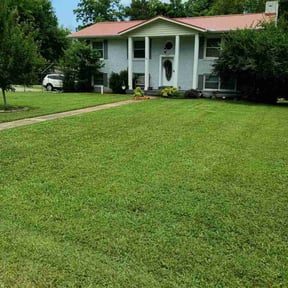 yard maintenance by Mac's Lawn Service LLC reviewed on August 19, 2025