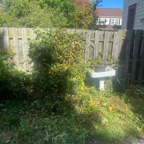 Bush Trimming by Legacy Lawn Pros reviewed on August 5, 2022