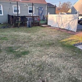 Leaf Removal by Jose Vigo reviewed on August 19, 2026