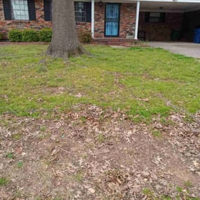 Leaf Removal by McKenzie Landscaping reviewed on October 1, 2025