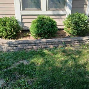 Leaf Removal by Earthly Paradise Services Inc. reviewed on September 18, 2025