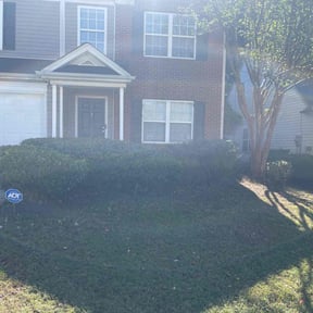 Bush Trimming by The Lawn Cypress reviewed on November 20, 2025