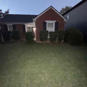 Bush Trimming by Marks Detailed lawn services reviewed on October 24, 2025