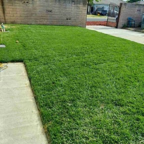 turf care by Jamie&#039;s Landscaping reviewed on December 12, 2021