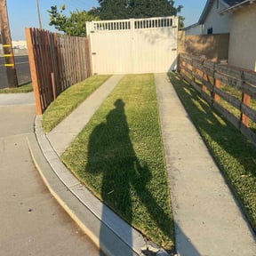 residential landscaping by Edge to Hedge Lawncare LLC reviewed on August 19, 2025