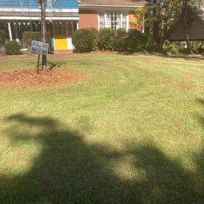 gardening service by Thatsmydadlawncarellc reviewed on August 21, 2025