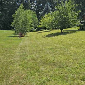 landscaping by TSH Building Services LLC reviewed on August 16, 2025