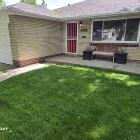 turf maintenance by Cari Lawn Care reviewed on July 22, 2022