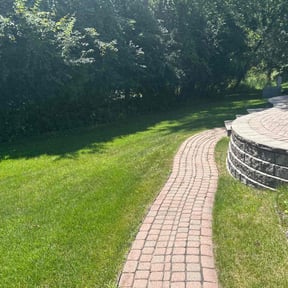 yard care by Dxd lawn care reviewed on November 30, 2025