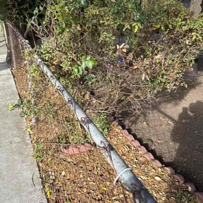 Bush Trimming by Zebra Cuts Lawn & Landscaping LLC reviewed on August 20, 2025