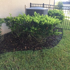 Flower Bed Weeding by DSGB Construction LLC reviewed on August 17, 2025