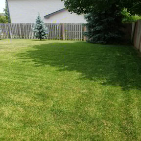 landscaping by WC Inc reviewed on October 18, 2025