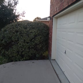 Bush Trimming by Family Lawn Care reviewed on August 15, 2025