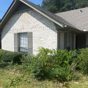 Bush Trimming by K n R Hauling and Tree Care reviewed on November 24, 2025