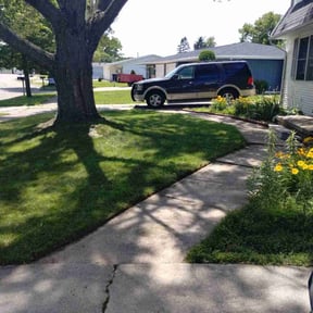 landscape maintenance by Shear Greenery Professional Lawn and Garden care reviewed on August 15, 2025