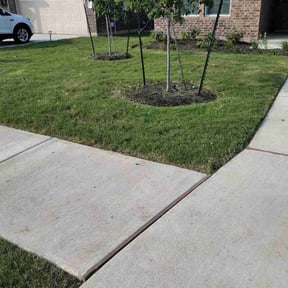 turf care by SML Services reviewed on November 9, 2017