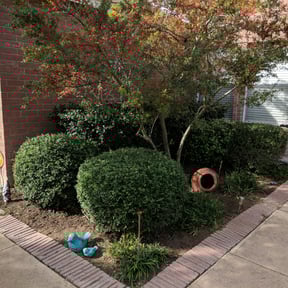 Flower Bed Weeding by J and E reviewed on August 15, 2025